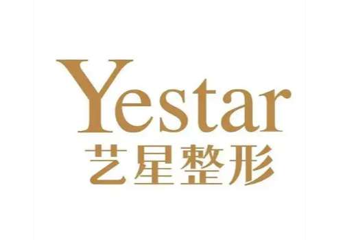 西安艺星logo.jpg