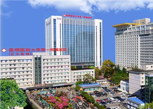 QQ20240806-112914.png