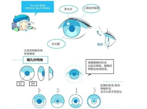 双眼皮