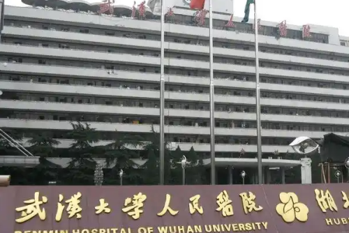 vx图片_20241122144323.png