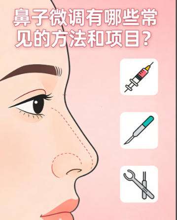 隆鼻 隆鼻