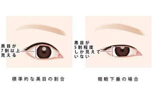 QQ浏览器截图20220106113150.jpg