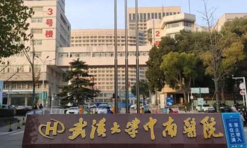 武汉中南医院.jpg 武汉中南医院.jpg