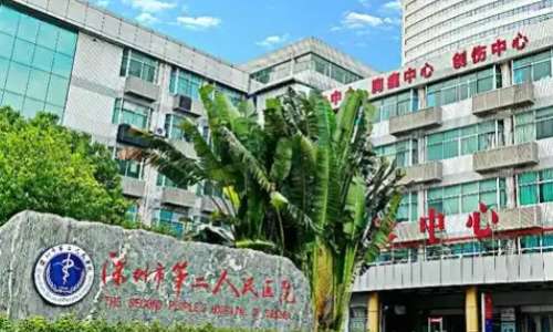 vx截图_20241211215535.jpg