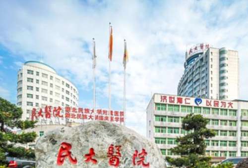湖北民族大学附属民大医院.jpg