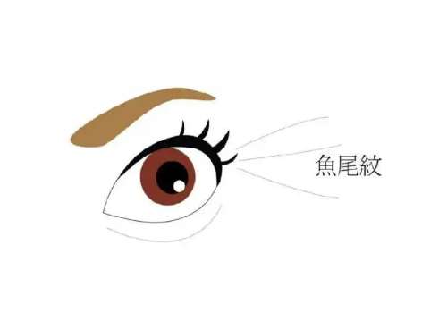 鱼尾纹.jpg
