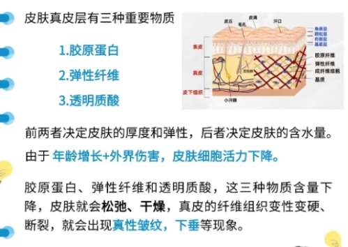 除皱