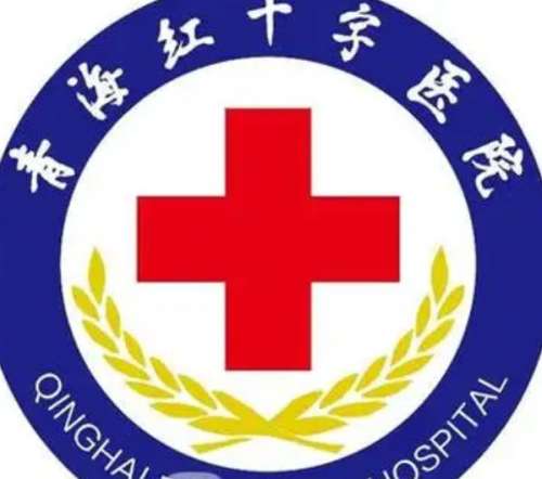 青海红十字医院lo.jpg