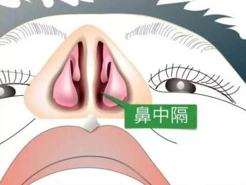 QQ截图20230823120341.jpg