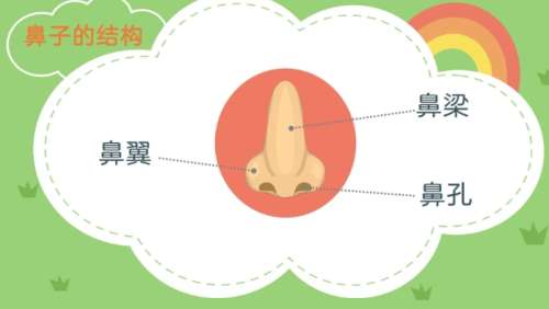 鼻子