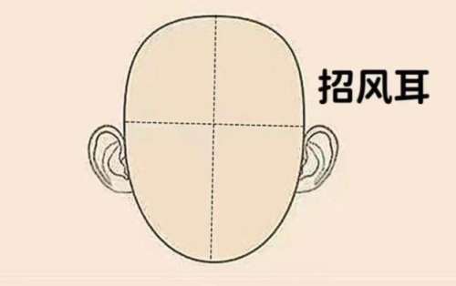 招风耳.jpg