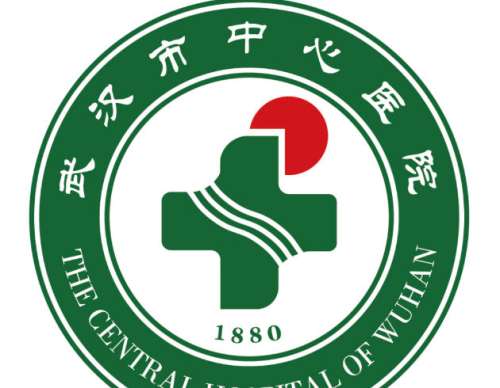 武汉市中心医院.jpg 武汉市中心医院.jpg