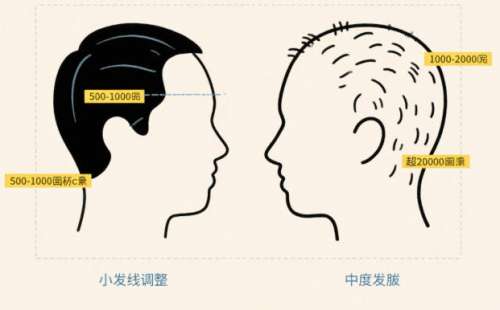 吉林大学中日联谊医院