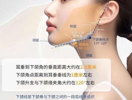 丰下巴 丰下巴
