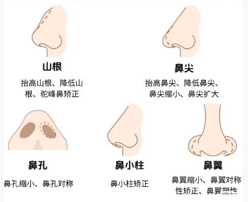 鼻子