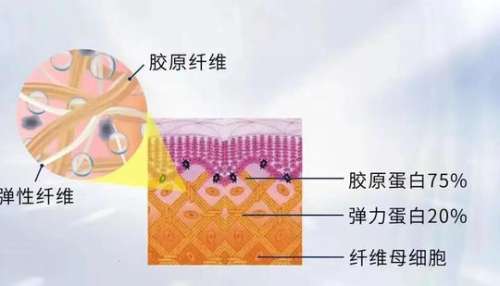 注射胶原蛋白美容