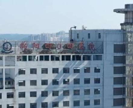 绵阳404.jpg