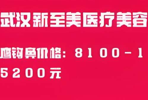 武汉新至美医疗美容医院.jpg
