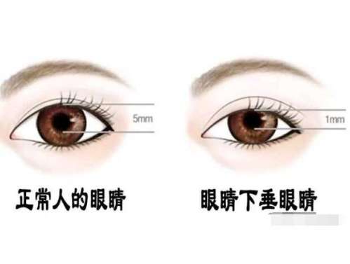 QQ截图20240314145323.jpg