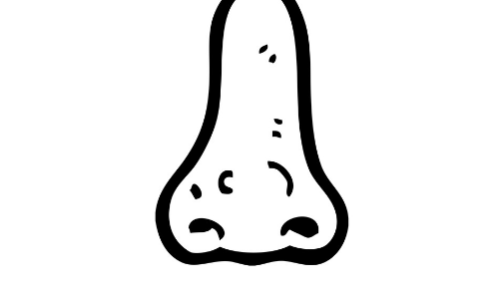 vx截图_20230831053750.png
