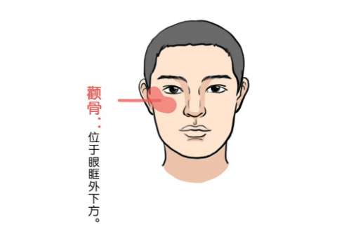 颧骨2.jpg