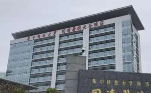 武汉同济.jpg