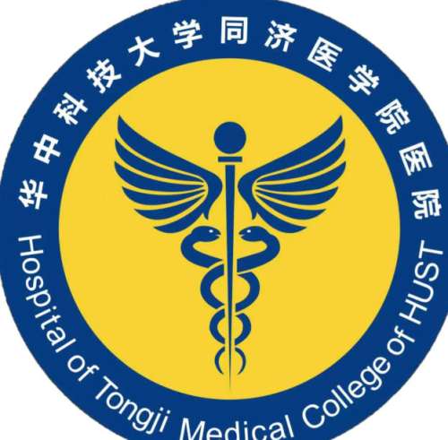 华中科技大学同济医学院附属同济医院.jpg