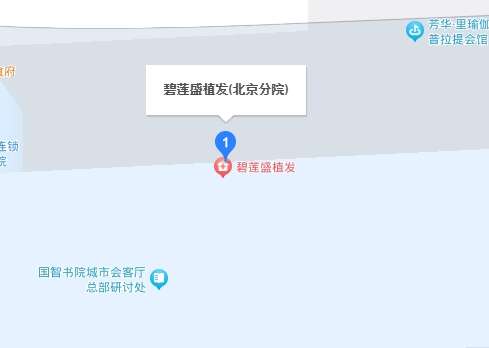 碧莲盛植发地址.jpg