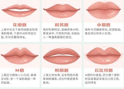 丰唇