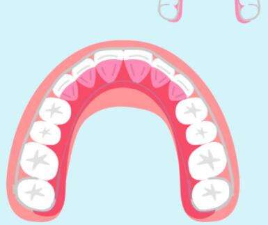 上海国际医学中心牙齿种植费用大概多少？2026年最新收费明细与选择参考