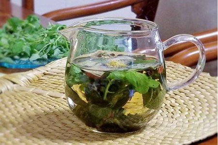 车前草的功效：凉血利尿，女性泡茶喝排出浊气