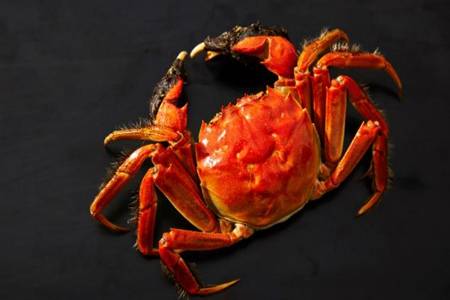 螺蛳粉爆红背后深扒 为什么大家对螺蛳粉这么上瘾