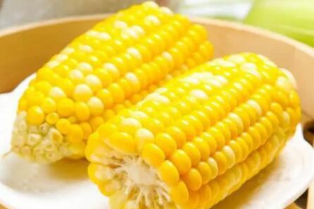 减肥早餐吃什么？这五个食物热量可控吃饱才能瘦