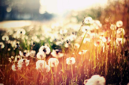 时间太快太慢都不要紧，有人陪伴才算幸运