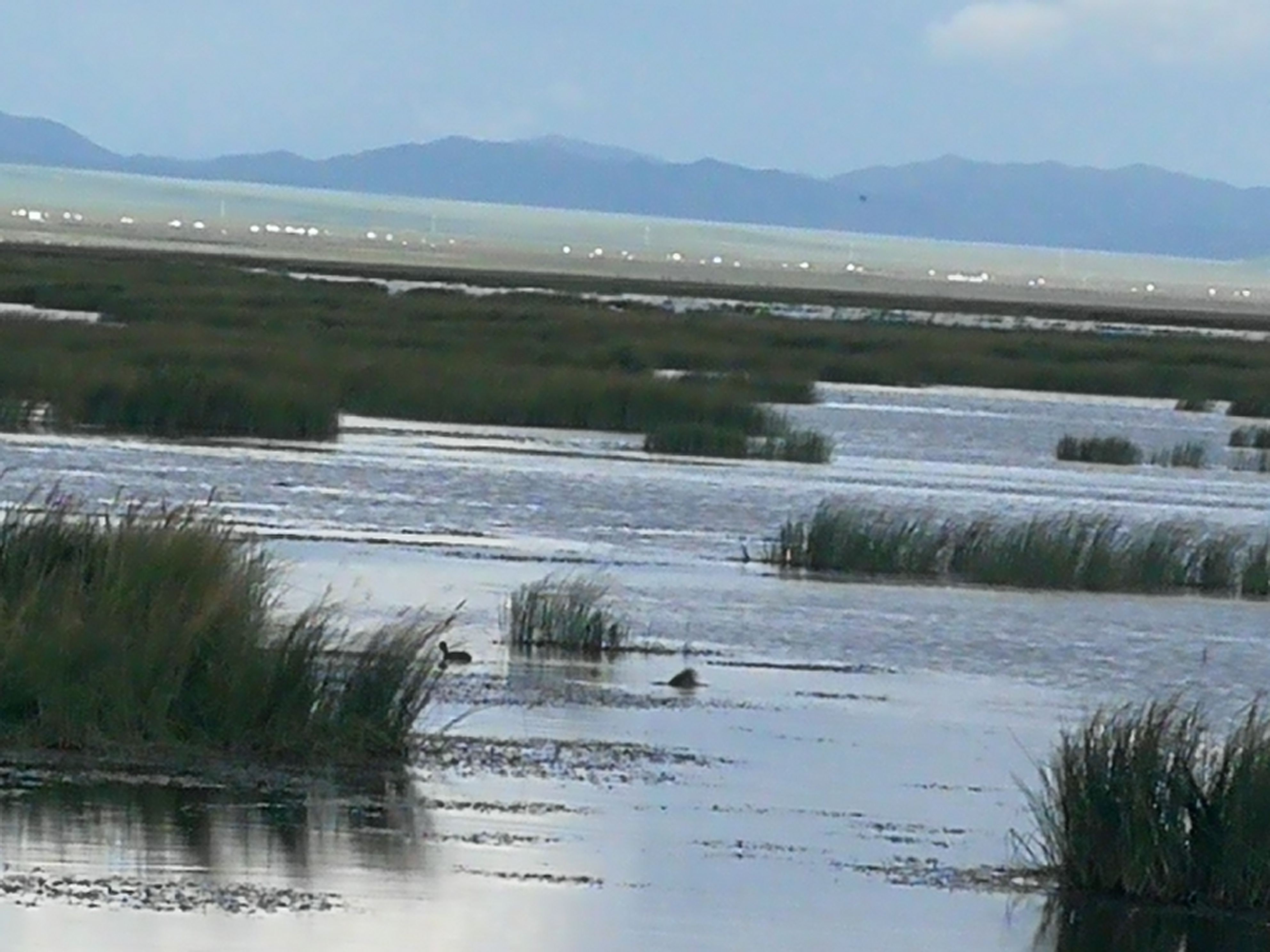 每一个女人都要明白什么叫爱？