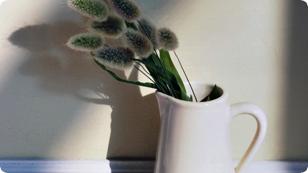 骨架大的女人命运好吗