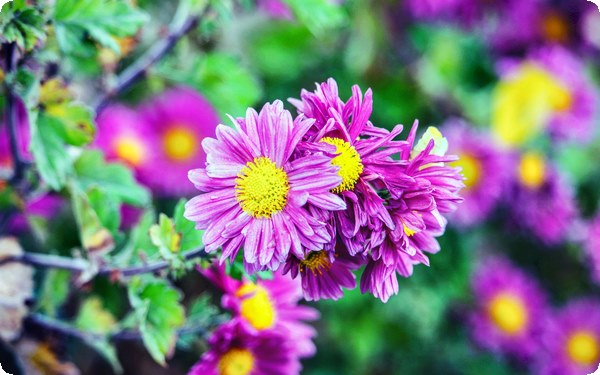 做个看着温柔实际不好惹的女人 成为一个不好惹的女人需要具备的特质