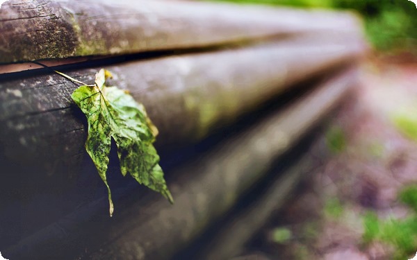 女人出轨外遇的心理原因有哪些？ 女人出轨由什么引起造成的